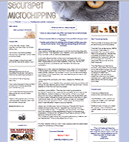 competitely priced website design Affordable for all